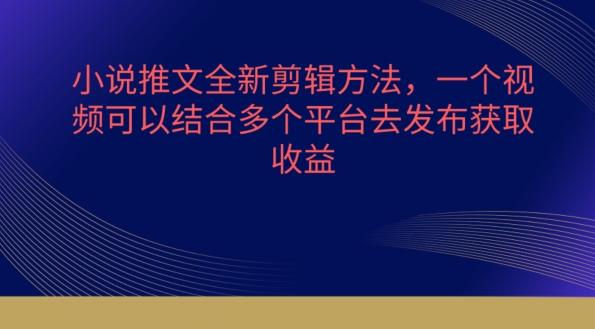 小说推文全新剪辑方法，一个视频可以结合多个平台去发布获取【揭秘】-星禾网创星球