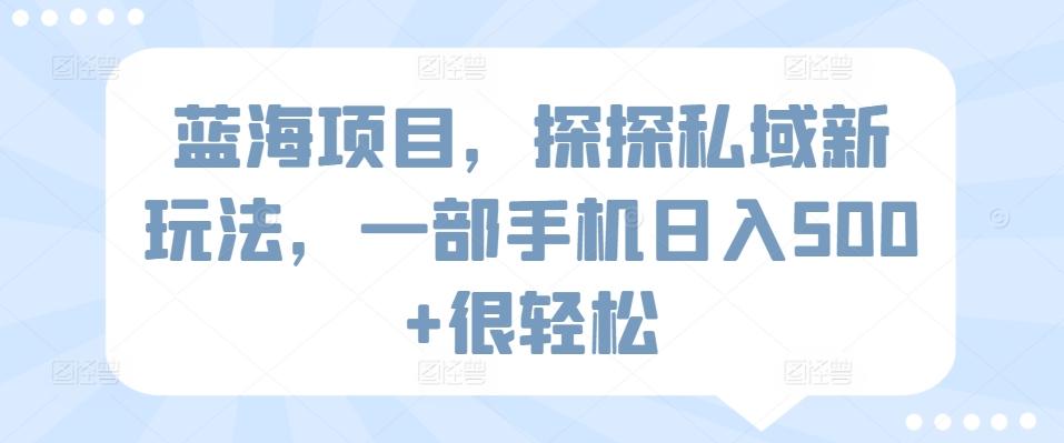 蓝海项目，探探私域新玩法，一部手机日入500+很轻松【揭秘】-星禾网创星球