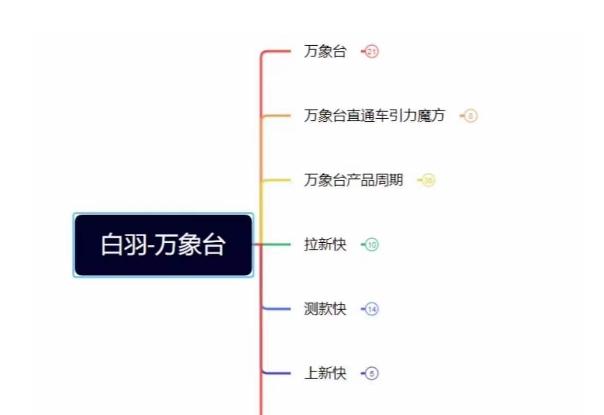 白羽·直引万搜索全篇，从0-1，多个类目实操经验总结付费-星禾网创星球
