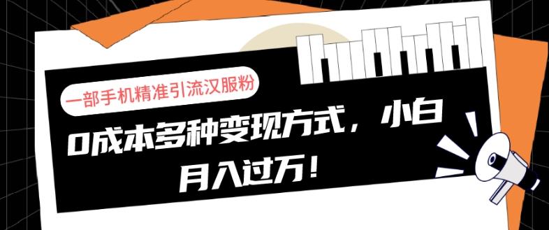 一部手机精准引流汉服粉，0成本多种变现方式，小白月入过万！-星禾网创星球