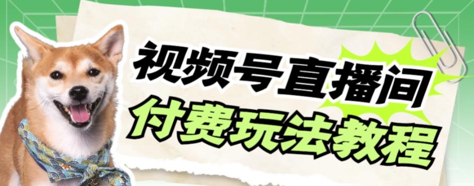 视频号美女付费无人直播，轻松日入500+【详细玩法教程】-星禾网创星球