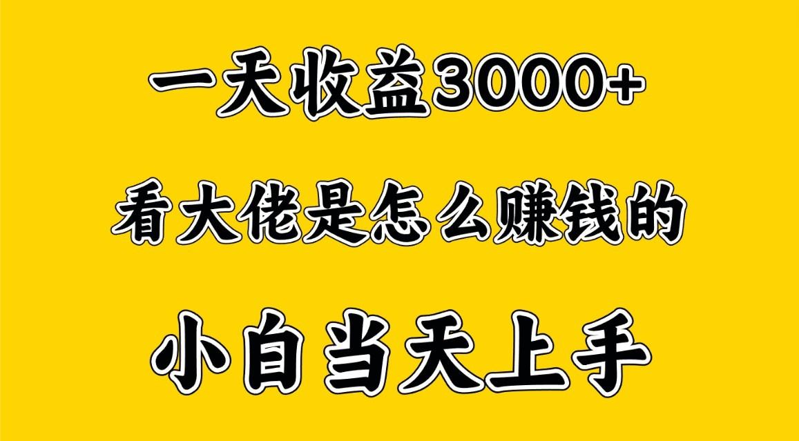 一天赚3000多，大佬是这样赚到钱的，小白当天上手，穷人翻身项目-星禾网创星球