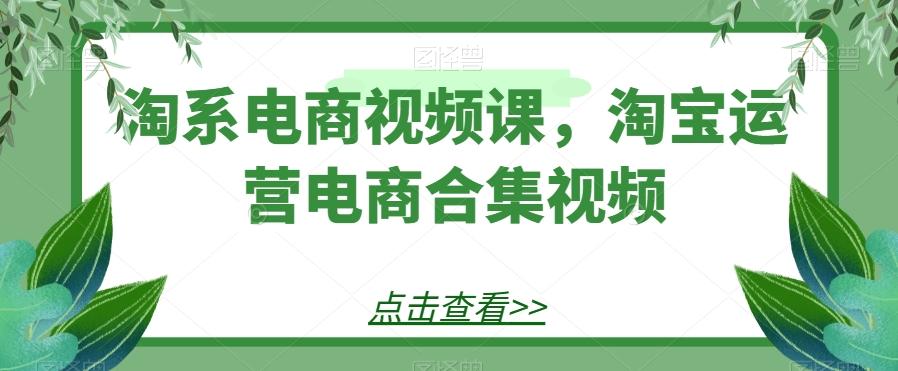 淘系电商视频课，淘宝运营电商合集视频-星禾网创星球