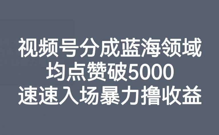 视频号分成蓝海领域，均点赞破5000，速速入场暴力撸收益-星禾网创星球