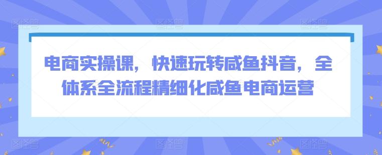 电商实操课，快速玩转咸鱼抖音，全体系全流程精细化咸鱼电商运营-星禾网创星球
