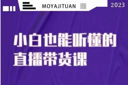 大威本威·能听懂的直播带货课，小白也能听懂，20节完整-星禾网创星球