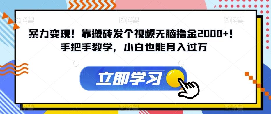 暴力变现！靠搬砖发个视频无脑撸金2000+！手把手教学，小白也能月入过万【揭秘】-星禾网创星球