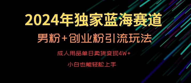 2024年独家蓝海赛道，成人用品单日卖货变现4W+，男粉+创业粉引流玩法，不愁搞不到流量【揭秘】-星禾网创星球