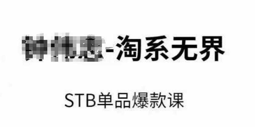淘系无界STB单品爆款课(2024)，付费带动免费的核心逻辑，万相台无界关键词推广/精准人群的核心-星禾网创星球