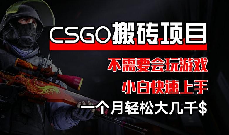 CSGO 装备搬砖项目，操作简单，不需要会玩游戏，小白也能快速上手，一个月轻松大几千【揭秘】-星禾网创星球
