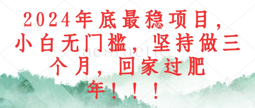 2024年底最稳项目，小白无门槛，坚持做三个月，回家过肥年！！！-星禾网创星球