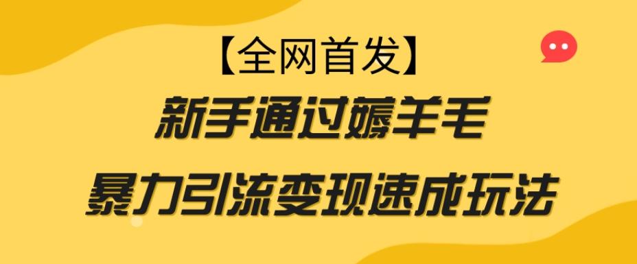 【全网首发】新手通过薅羊毛暴力引流变现速成玩法-星禾网创星球