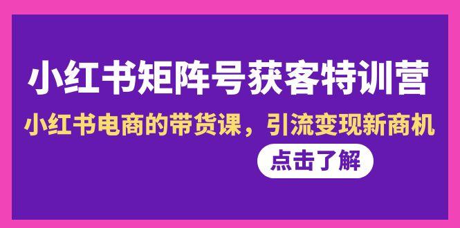 小红书-矩阵号获客特训营-第10期，小红书电商的带货课，引流变现新商机-星禾网创星球