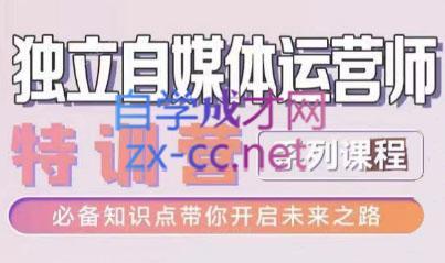 博老师·2024独立自媒体运营师特训营-星禾网创星球