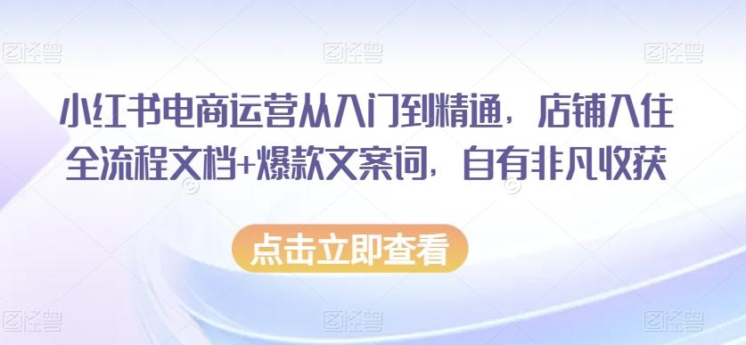 小红书电商运营从入门到精通，店铺入住全流程文档+爆款文案词，自有非凡收获-星禾网创星球