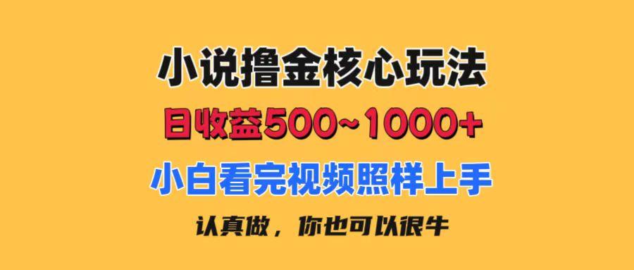 小说撸金核心玩法，日收益500-1000+，小白看完照样上手，0成本有手就行-星禾网创星球