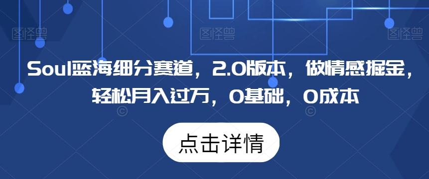Soul蓝海细分赛道，2.0版本，做情感掘金，轻松月入过万，0基础，0成本-星禾网创星球