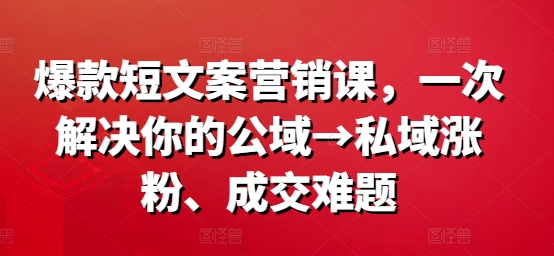 爆款短文案营销课，一次解决你的公域→私域涨粉、成交难题-星禾网创星球