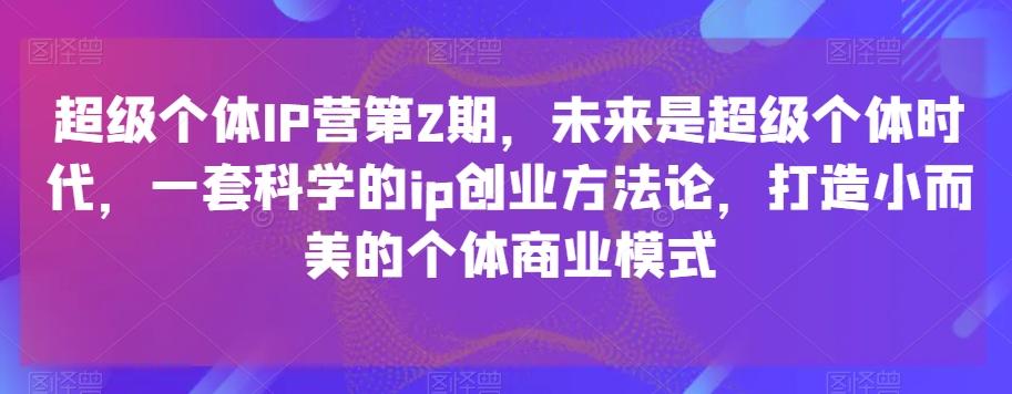 超级个体IP营第2期，未来是超级个体时代，一套科学的ip创业方法论，打造小而美的个体商业模式-星禾网创星球