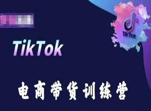 TikTok电商带货训练营，跟随时代潮流，跨境掘金-星禾网创星球