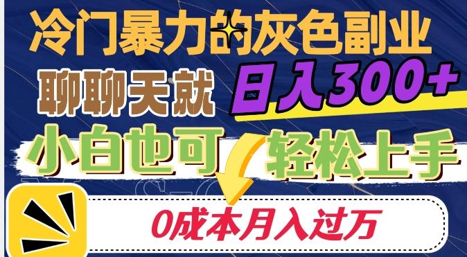 冷门暴利的副业项目，聊聊天就能日入300+，0成本月入过万【揭秘】-星禾网创星球