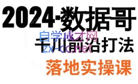 数据哥·2024年千川前沿打法落地实操课-星禾网创星球