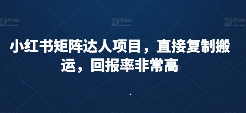 小红书矩阵达人项目，直接复制搬运，回报率非常高-星禾网创星球