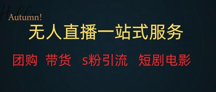 无人直播一站式服务（教程以及变现方式）-星禾网创星球