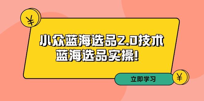 拼多多培训第33期：小众蓝海选品2.0技术-蓝海选品实操！-星禾网创星球