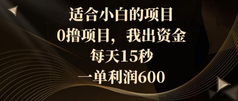 适合小白的项目，0撸项目，我出资金，每天15秒，一单利润600-星禾网创星球