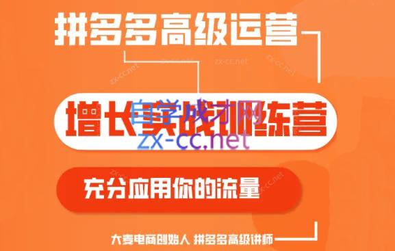 大麦老师·拼多多单品爆款打造课程(更新6月)-星禾网创星球