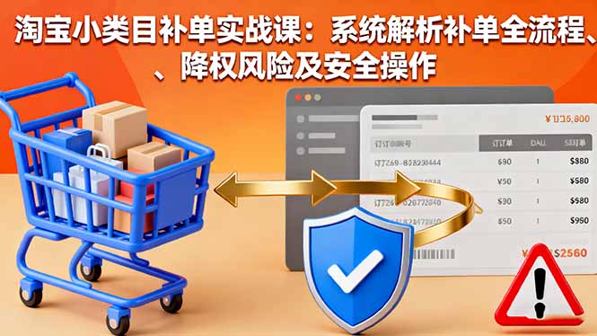 淘宝小类目补单实战课：系统解析补单全流程、降权风险及安全操作-星禾网创星球
