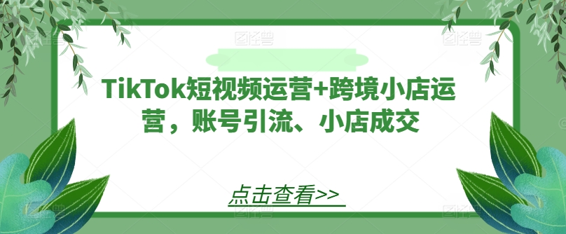 TikTok短视频运营+跨境小店运营，账号引流、小店成交-星禾网创星球