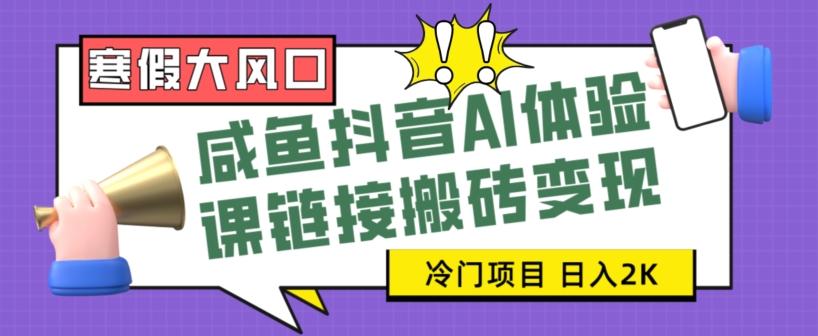 寒假大风口咸鱼抖音AI体验课链接搬砖变现，全网首发冷门项目，小白可日入2K+【揭秘】-星禾网创星球