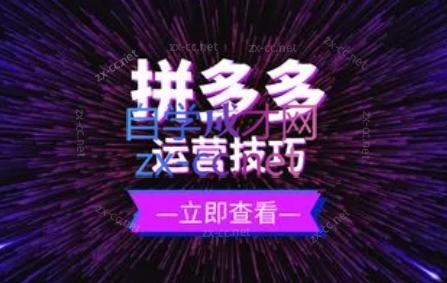 力辛电商·拼多多强付费店群玩法-星禾网创星球