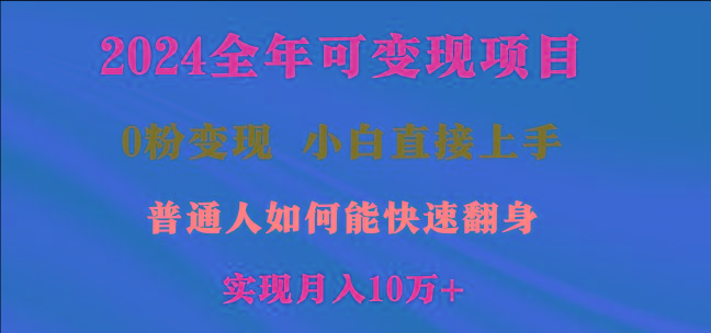 2024全年可变现项目，一天收益至少2000+，小白上手快，普通人就要利用互...-星禾网创星球