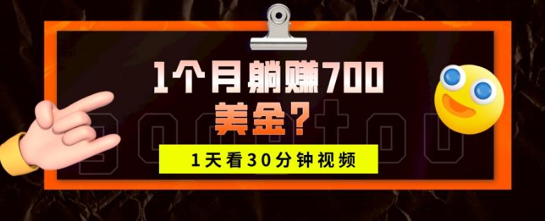 1天看30分钟视频，1个月躺赚700美金？-星禾网创星球