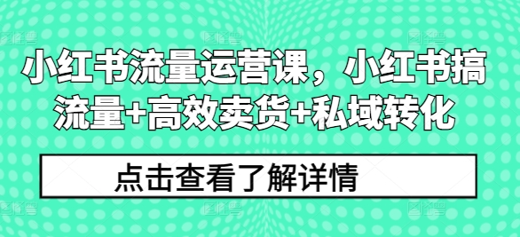 小红书流量运营课，小红书搞流量+高效卖货+私域转化-星禾网创星球