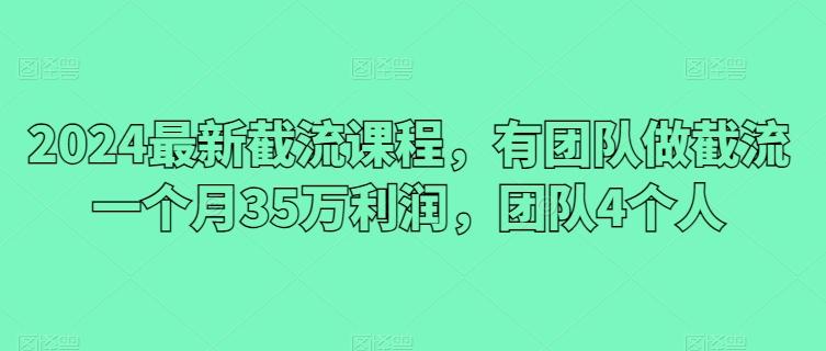 2024最新截流课程，有团队做截流一个月35万利润，团队4个人-星禾网创星球