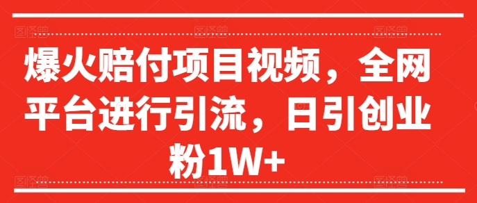 爆火赔付项目视频，全网平台进行引流，日引创业粉1W+【揭秘】-星禾网创星球
