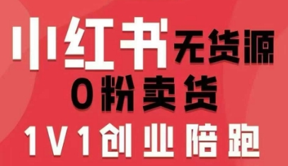 小红书无货源0粉电商课，开店准备、选品策略、笔记撰写、视频剪辑、数据分析、账号打造、资料文档-星禾网创星球