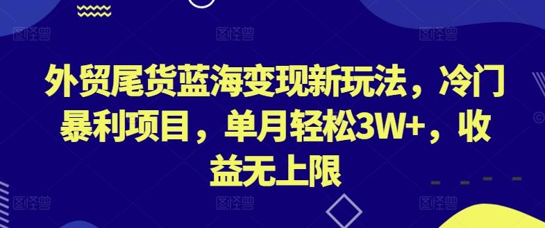 外贸尾货蓝海变现新玩法，冷门暴利项目，单月轻松3W+，收益无上限【揭秘】-星禾网创星球
