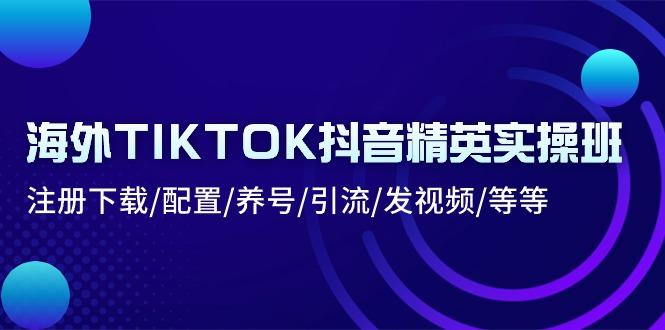 海外TIKTOK抖音精英实操班：注册下载/配置/养号/引流/发视频/等等-星禾网创星球