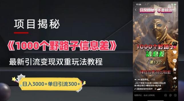 一千个野路子信息差最新玩法教程-变现+引流的玩法具体拆解【揭秘】-星禾网创星球