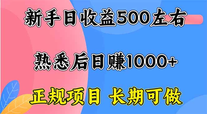 新手日收益500+ 正规项目 长期可做-星禾网创星球