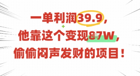 一单利润39.9，有人靠这个变现几十个，偷偷闷声发财的项目-星禾网创星球