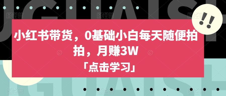 小红书带货，0基础小白每天随便拍拍，月赚3W【揭秘】-星禾网创星球