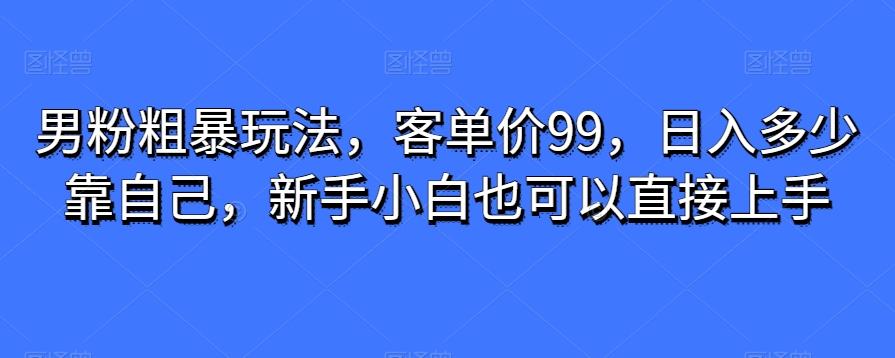 男粉粗暴玩法，客单价99，日入多少靠自己，新手小白也可以直接上手-星禾网创星球