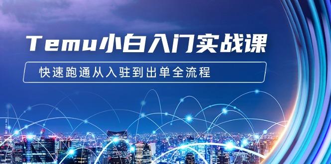 (9295期)Temu小白入门实战课：跨境拼多多电商培训 快速跑通从入驻到出单全流程-12节-星禾网创星球