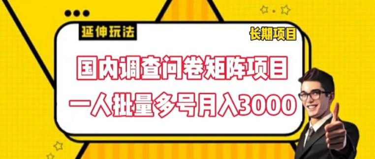 国内调查问卷矩阵项目，一人批量多号月入3000【揭秘】-星禾网创星球